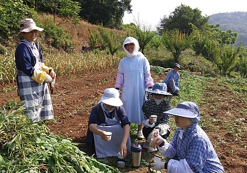 땀방울을 흘리며 노동 후 먹는 간식은 꿀맛이지요