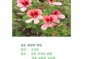 한국외방선교수녀회 성소모임