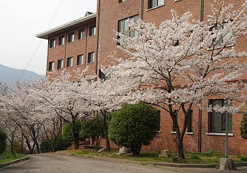 한국외방선교수녀회 전경